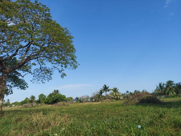 Third image of Willowdene Spanish Town in Spanish Town, St. Catherine, Jamaica - property is For Sale
