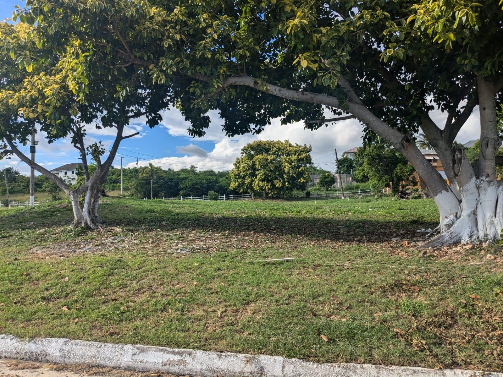 Seventh image of 281 Country Club dr in Palmers Cross, Clarendon, Jamaica - property is For Sale