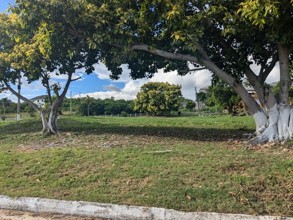 Seventh image of 281 Country Club dr in Palmers Cross, Clarendon, Jamaica - property is For Sale