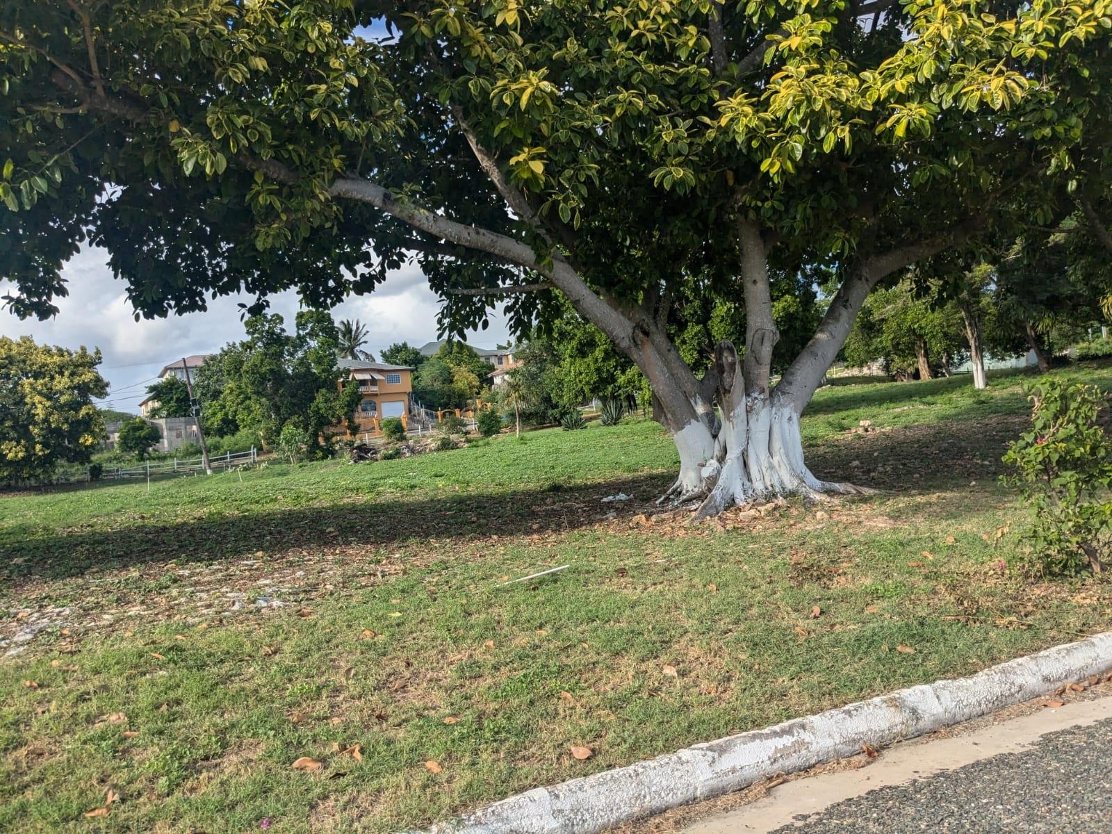 Eighth image of 281 Country Club dr in Palmers Cross, Clarendon, Jamaica - property is For Sale