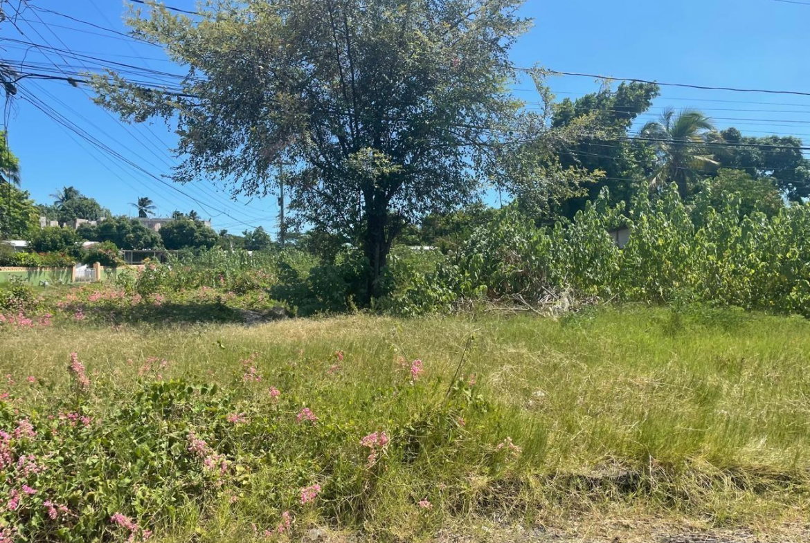 Sixth image of 7 Eddiston Blvd in Spanish Town, St. Catherine, Jamaica - property is For Sale