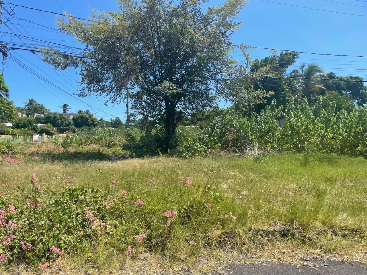Prime-7400-sq.-ft.-Residential-Lot-for-Sale-in-Jamaica Sixth image of 7 Eddiston Blvd in Spanish Town, St. Catherine, Jamaica - property is For Sale
