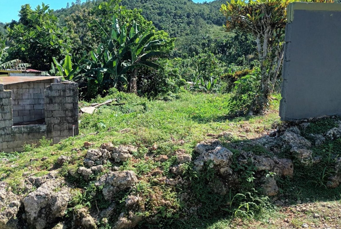 Second image of 1- Beechamville in Beechamville, St. Ann, Jamaica - property is For Sale