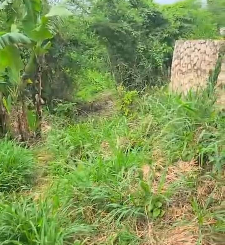 Third image of Part Kingswood Diamond rd in STONY HILL, St. Andrew, Jamaica - property is For Sale