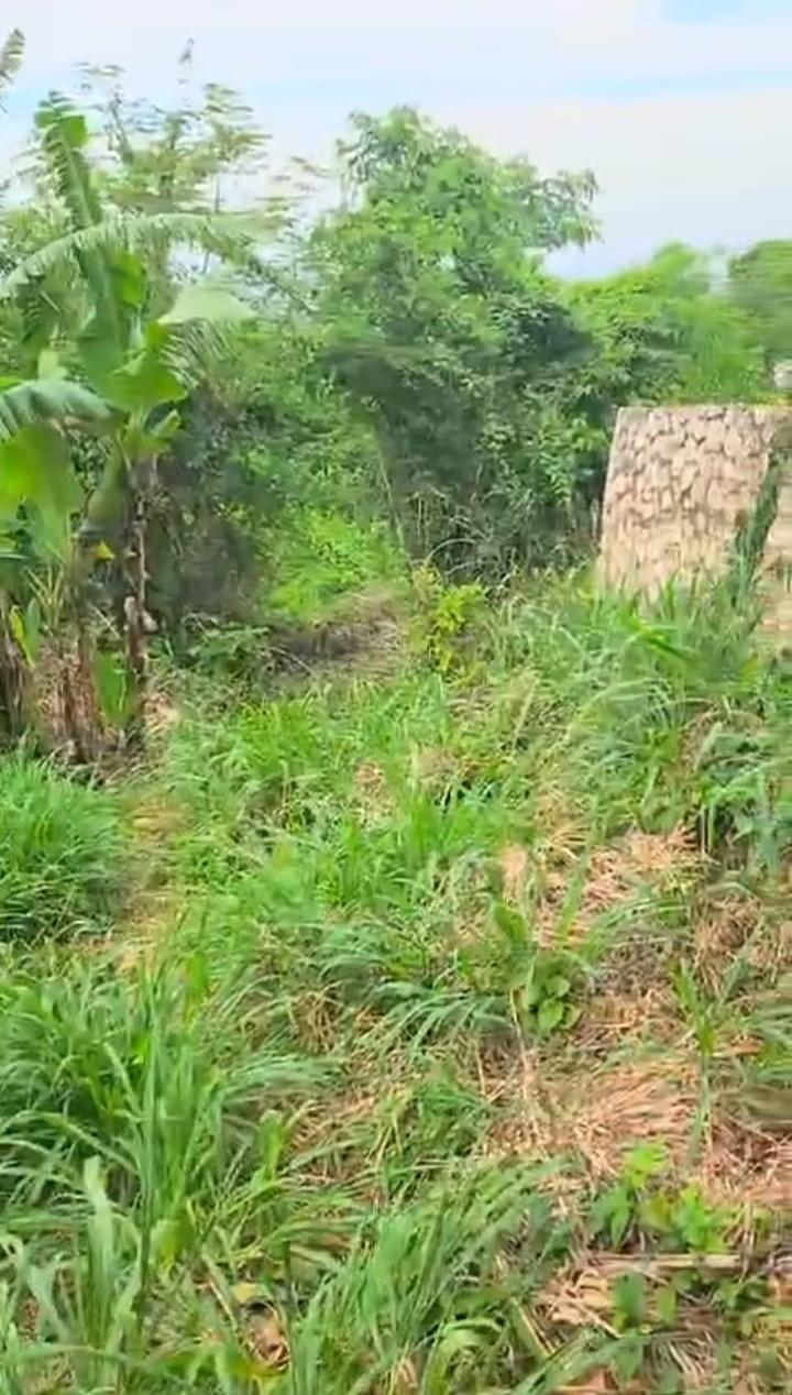 Third image of Part Kingswood Diamond rd in STONY HILL, St. Andrew, Jamaica - property is For Sale