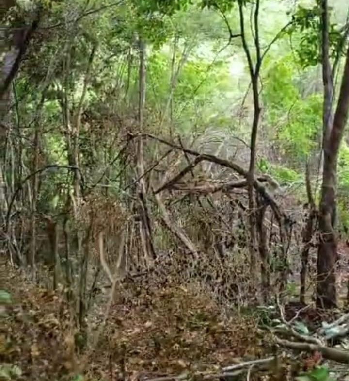 Fourth image of Part Kingswood Diamond rd in STONY HILL, St. Andrew, Jamaica - property is For Sale