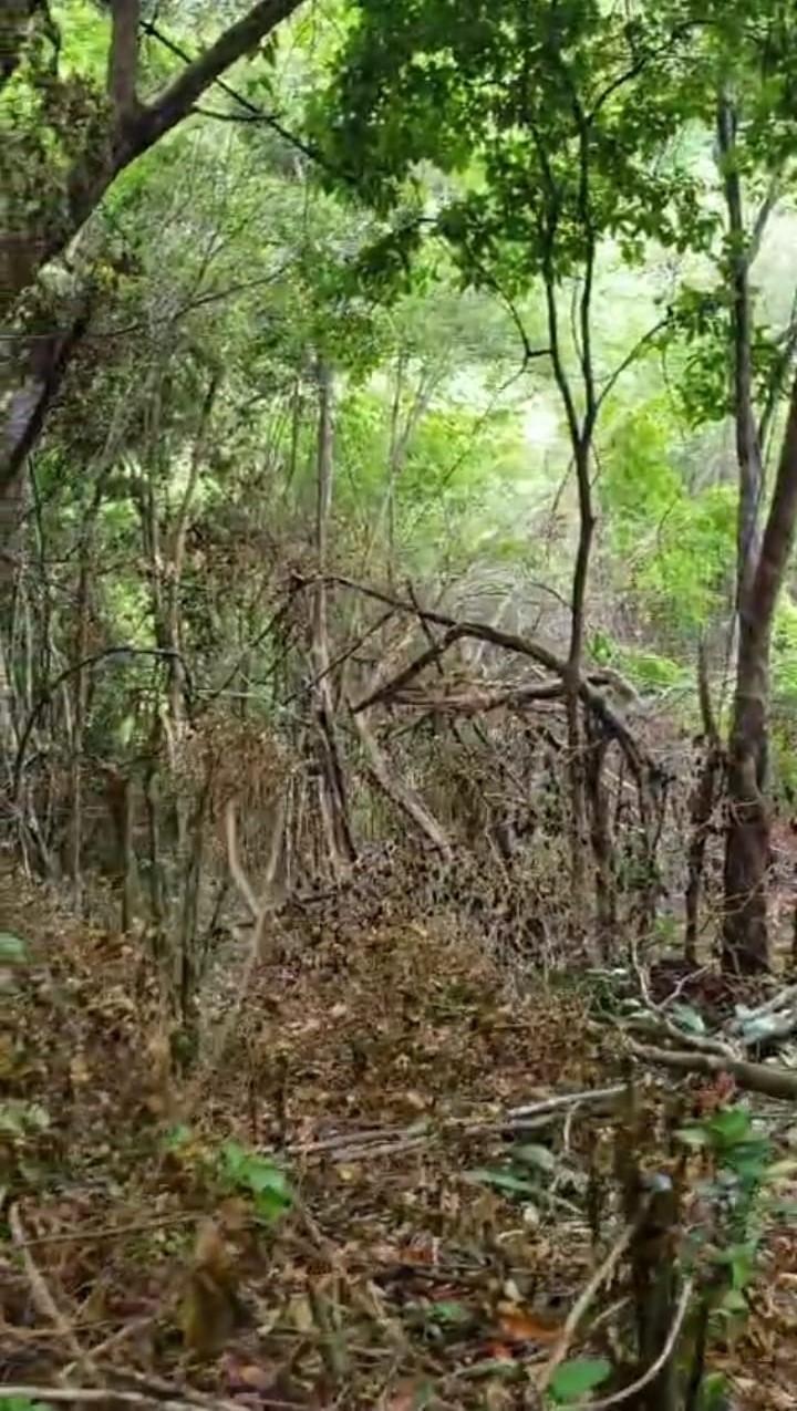 Fourth image of Part Kingswood Diamond rd in STONY HILL, St. Andrew, Jamaica - property is For Sale