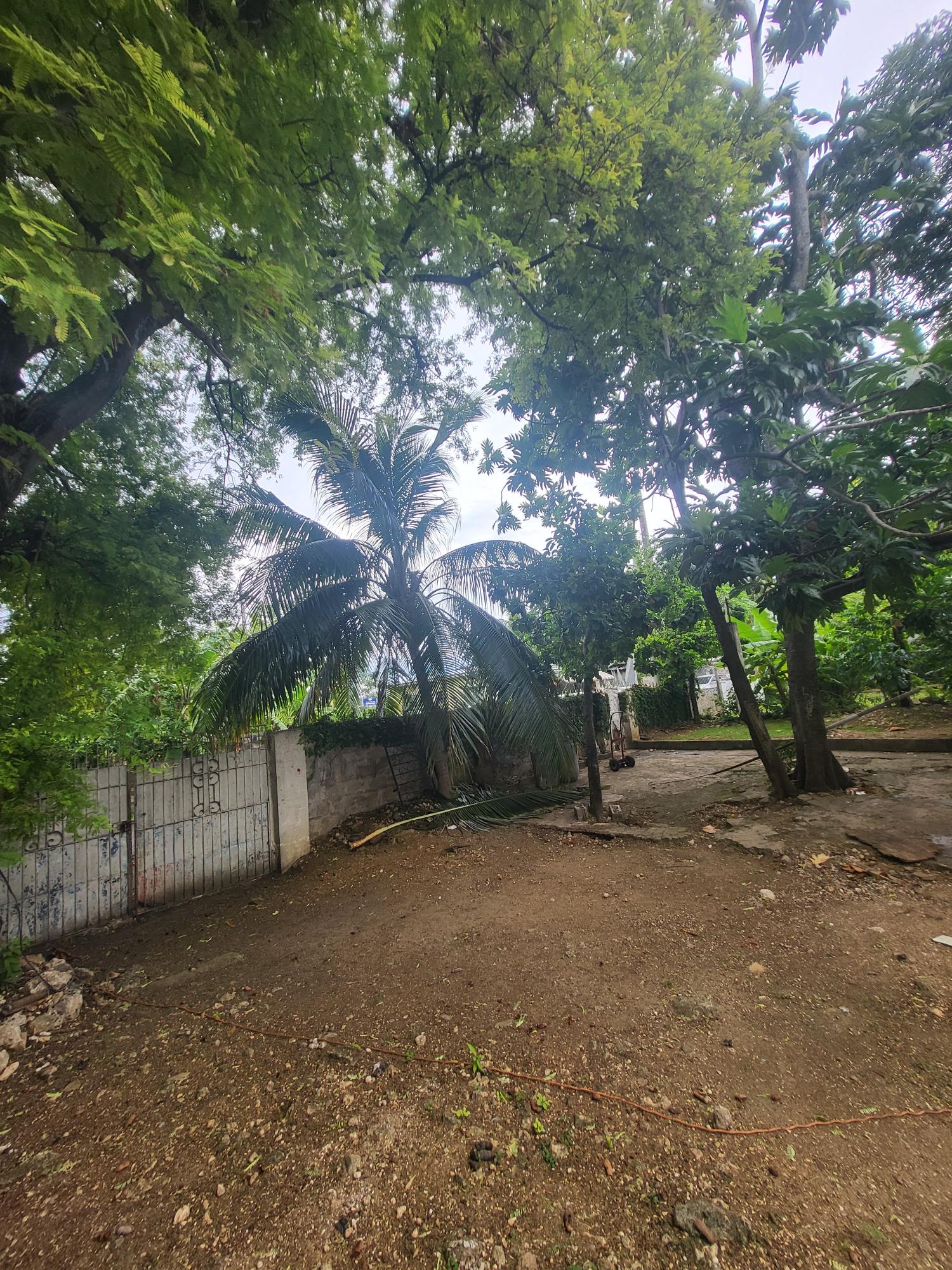 Prime-Investment-Opportunity-in-St.-Ann-Jamaica-Residential-or-Commercial Fourth image of Lot 11 Old Bucks Field in Ocho Rios, St. Ann, Jamaica - property is For Sale