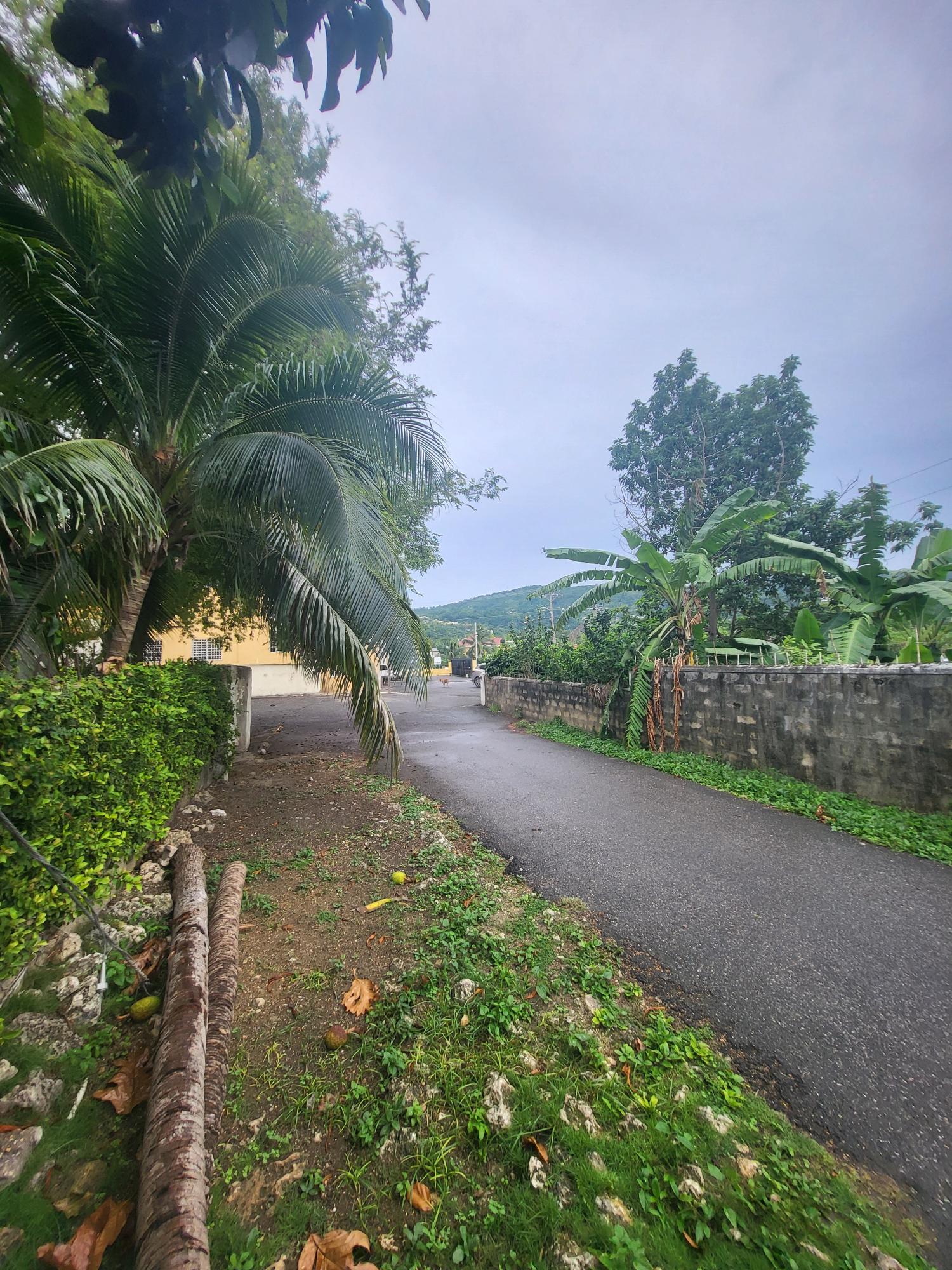 Prime-Investment-Opportunity-in-St.-Ann-Jamaica-Residential-or-Commercial Seventh image of Lot 11 Old Bucks Field in Ocho Rios, St. Ann, Jamaica - property is For Sale