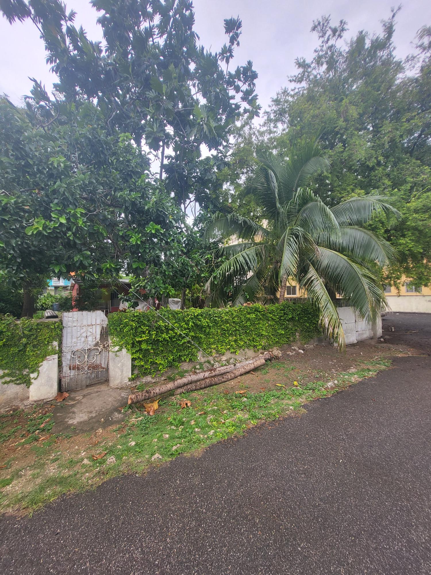 Prime-Investment-Opportunity-in-St.-Ann-Jamaica-Residential-or-Commercial Eighth image of Lot 11 Old Bucks Field in Ocho Rios, St. Ann, Jamaica - property is For Sale