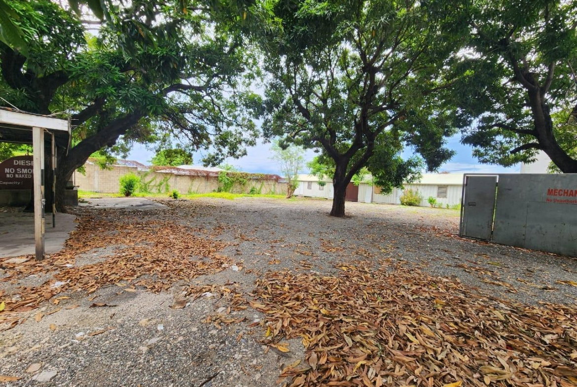 Sixth image of 184 Mountain View Avenue in Kingston 6, St. Andrew, Jamaica - property is For Rent