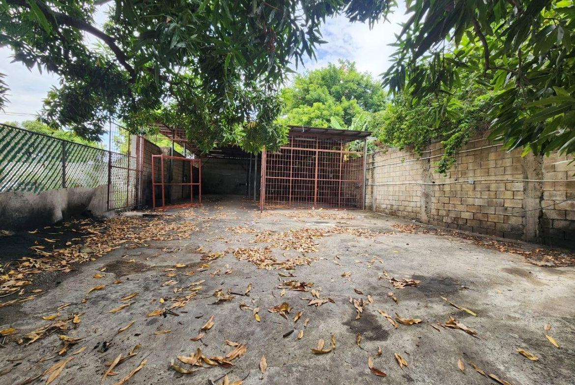 Eighth image of 184 Mountain View Avenue in Kingston 6, St. Andrew, Jamaica - property is For Rent