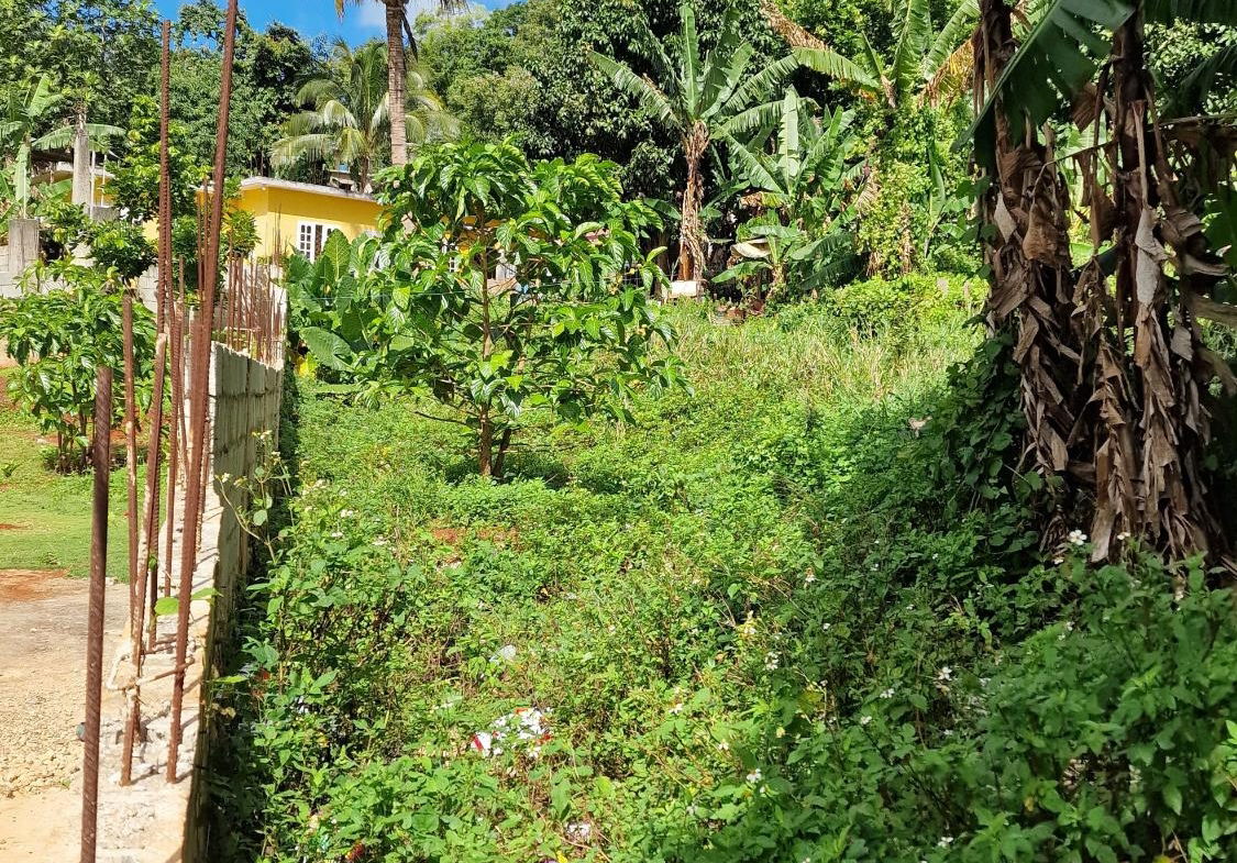 Second image of Blue Mountain Road in Belvedere, St. Andrew, Jamaica - property is For Sale