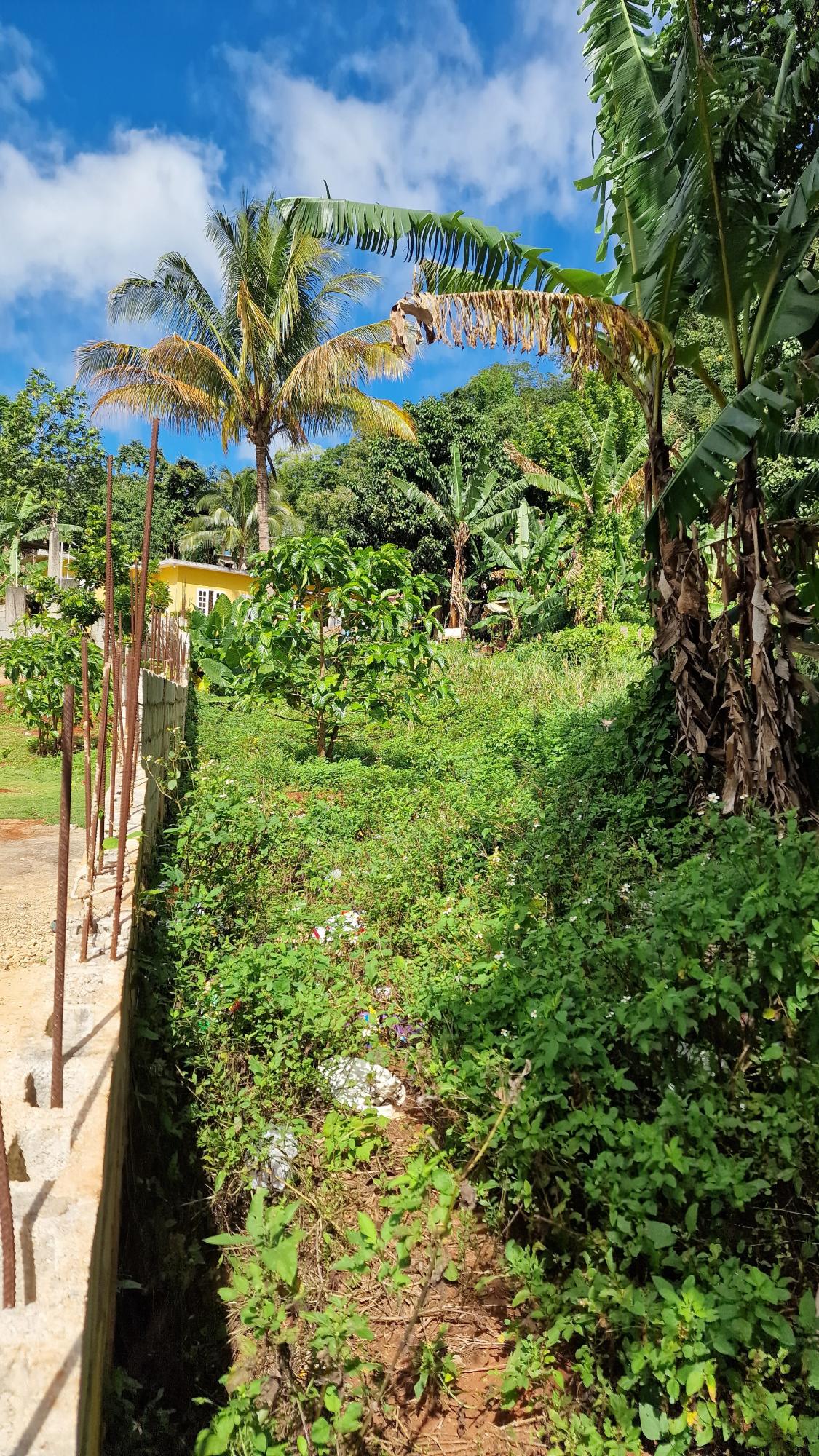Prime-Residential-Lot-for-Sale-in-Belvedere-St.-Andrew-Blue-Mountain-Road Second image of Blue Mountain Road in Belvedere, St. Andrew, Jamaica - property is For Sale