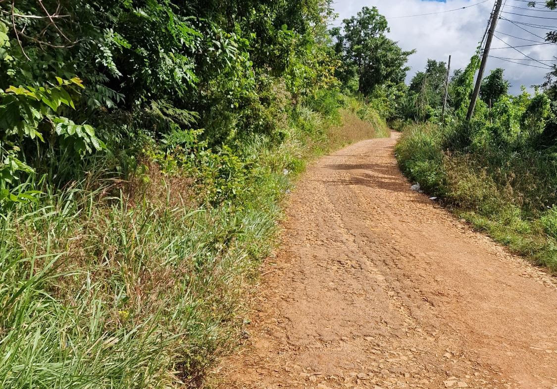 First image of Blue Mountain Road in Belvedere, St. Andrew, Jamaica - property is For Sale