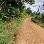 First image of Blue Mountain Road in Belvedere, St. Andrew, Jamaica - property is For Sale