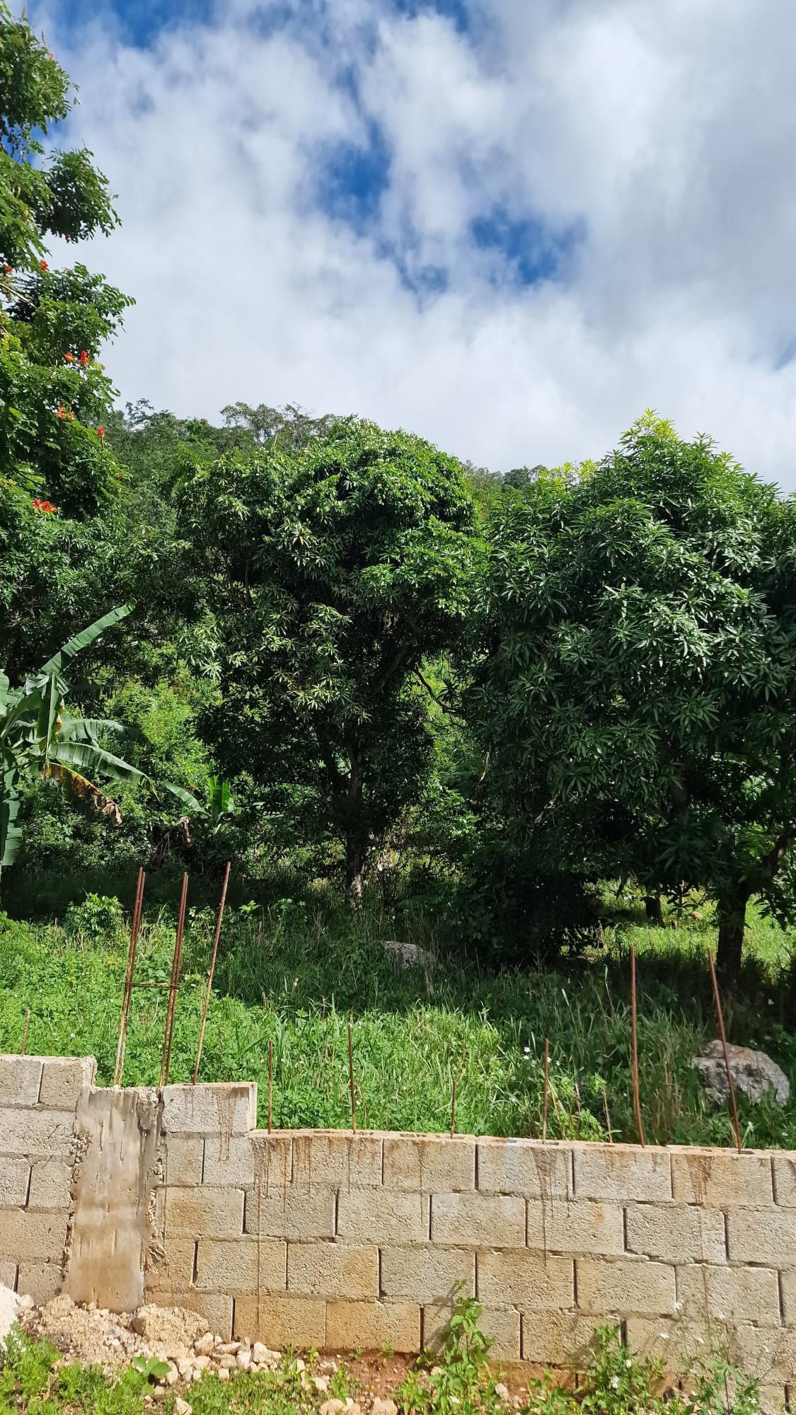 Prime-Residential-Lot-for-Sale-in-Belvedere-St.-Andrew-Blue-Mountain-Road Third image of Blue Mountain Road in Belvedere, St. Andrew, Jamaica - property is For Sale