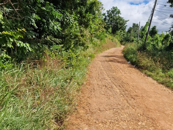 First image of Blue Mountain Road in Belvedere, St. Andrew, Jamaica - property is For Sale