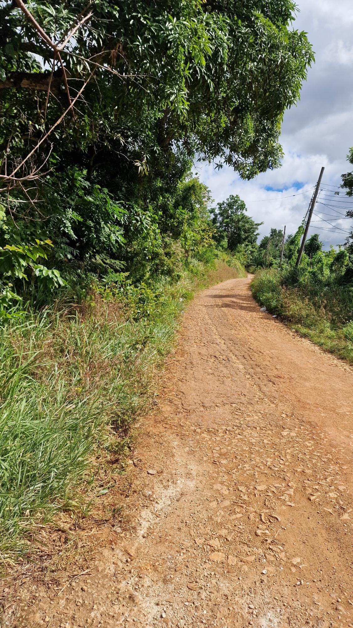 Prime-Residential-Lot-for-Sale-in-Belvedere-St.-Andrew-Blue-Mountain-Road First image of Blue Mountain Road in Belvedere, St. Andrew, Jamaica - property is For Sale