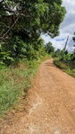 First image of Blue Mountain Road in Belvedere, St. Andrew, Jamaica - property is For Sale