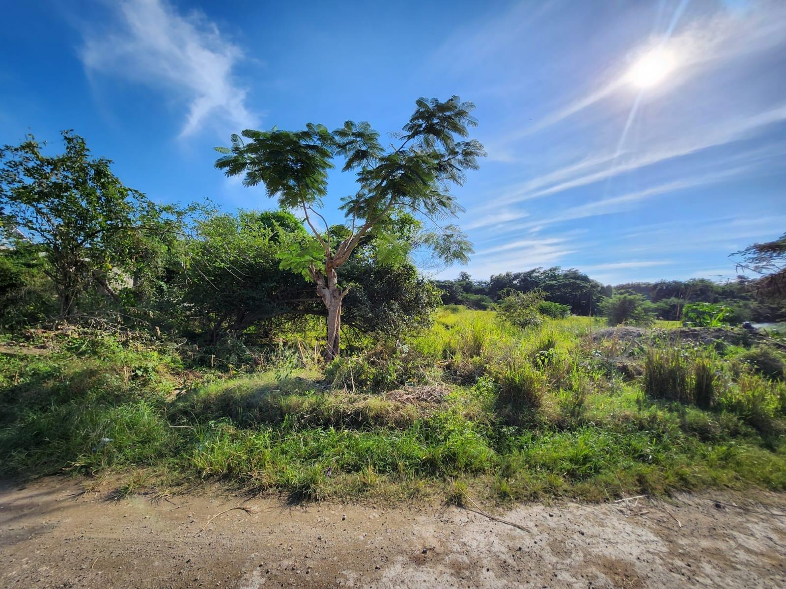 Third image of 26 Chang Ave,glenmuir Hgts in May Pen, Clarendon, Jamaica - property is For Sale