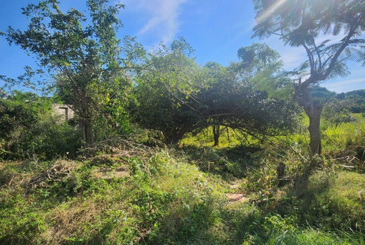 Fourth image of 26 Chang Ave,glenmuir Hgts in May Pen, Clarendon, Jamaica - property is For Sale
