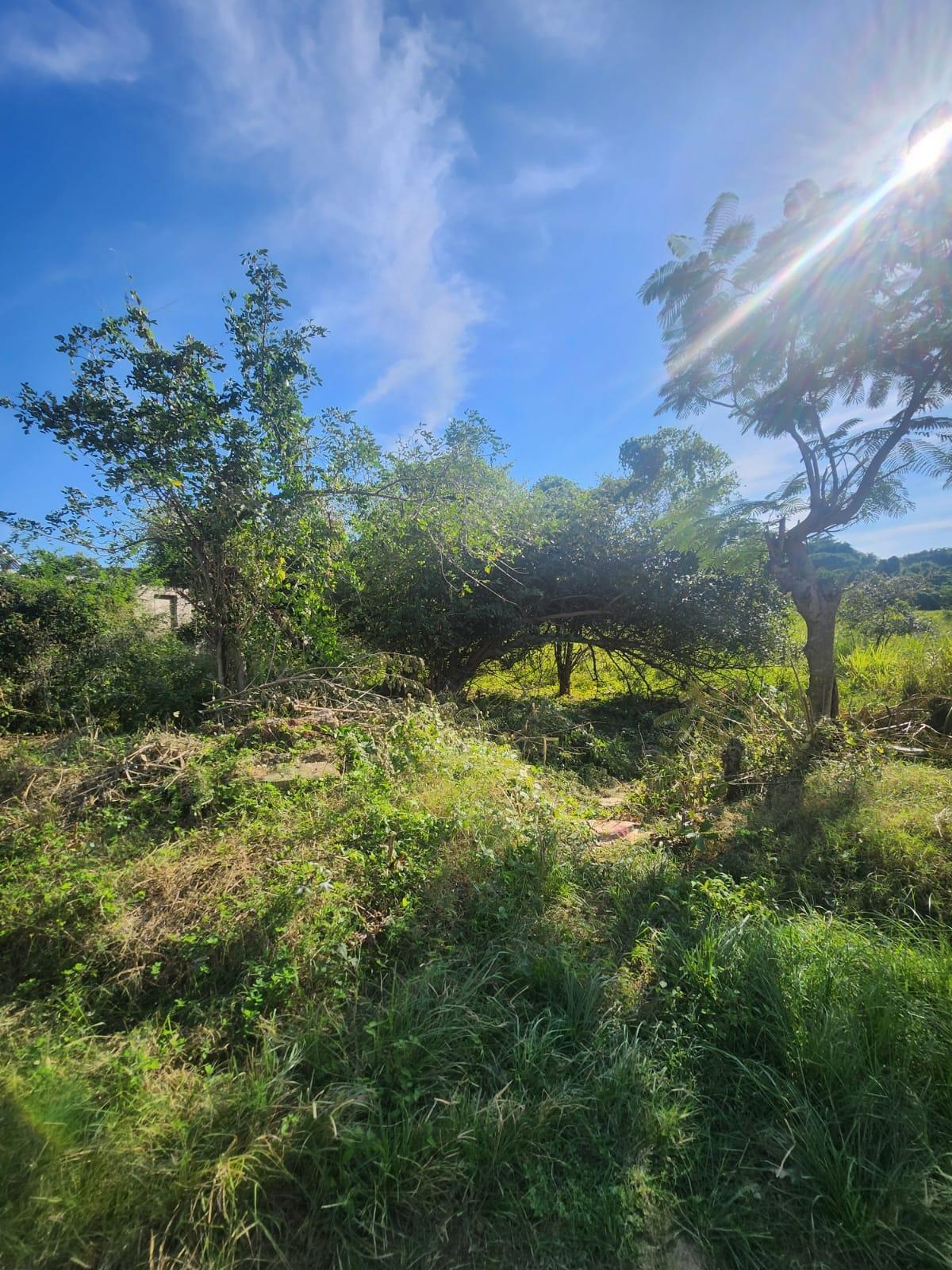 Fourth image of 26 Chang Ave,glenmuir Hgts in May Pen, Clarendon, Jamaica - property is For Sale