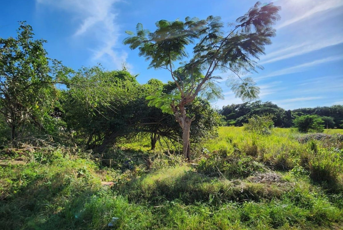 Fifth image of 26 Chang Ave,glenmuir Hgts in May Pen, Clarendon, Jamaica - property is For Sale