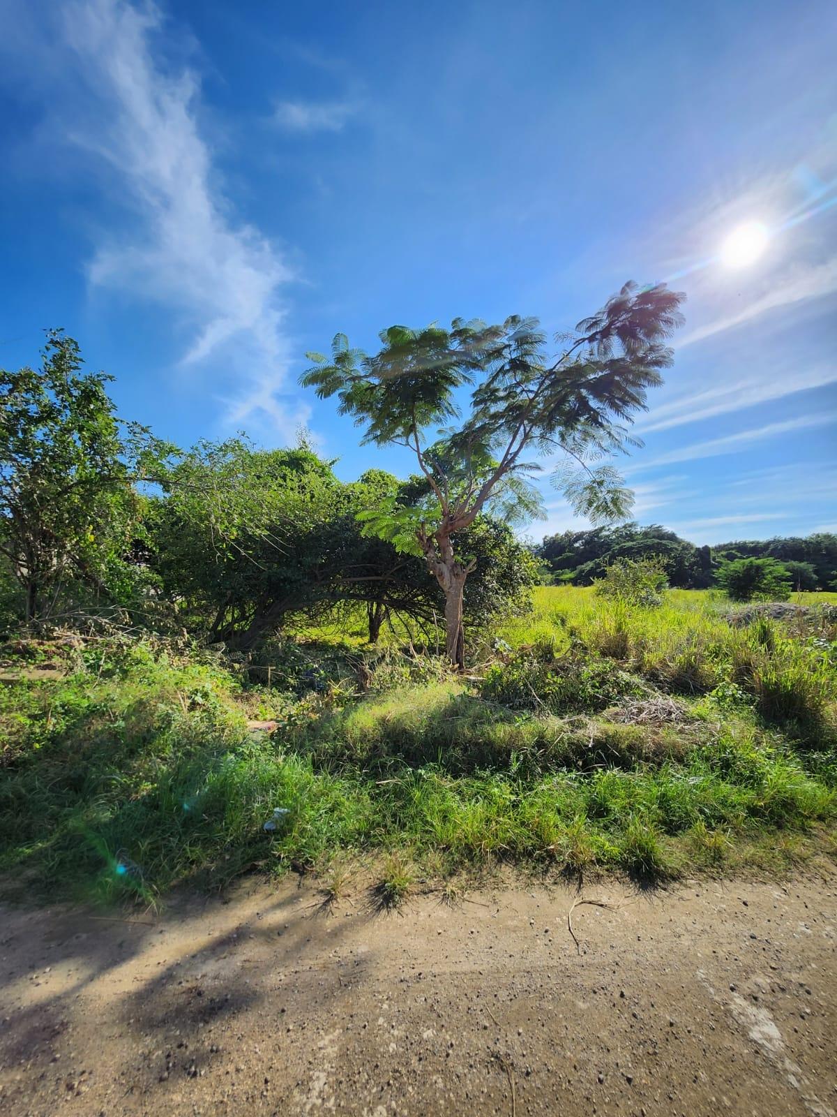 Fifth image of 26 Chang Ave,glenmuir Hgts in May Pen, Clarendon, Jamaica - property is For Sale