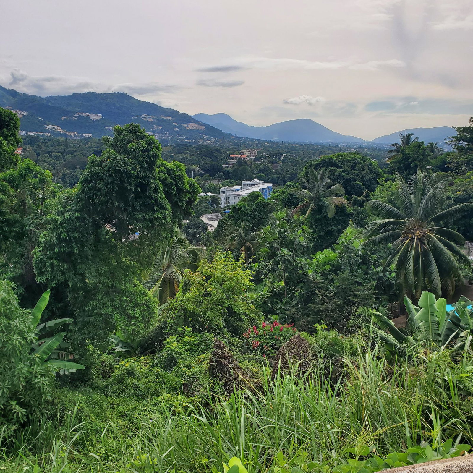 First image of 2- Mountain Slope in STONY HILL, St. Andrew, Jamaica - property is For Sale