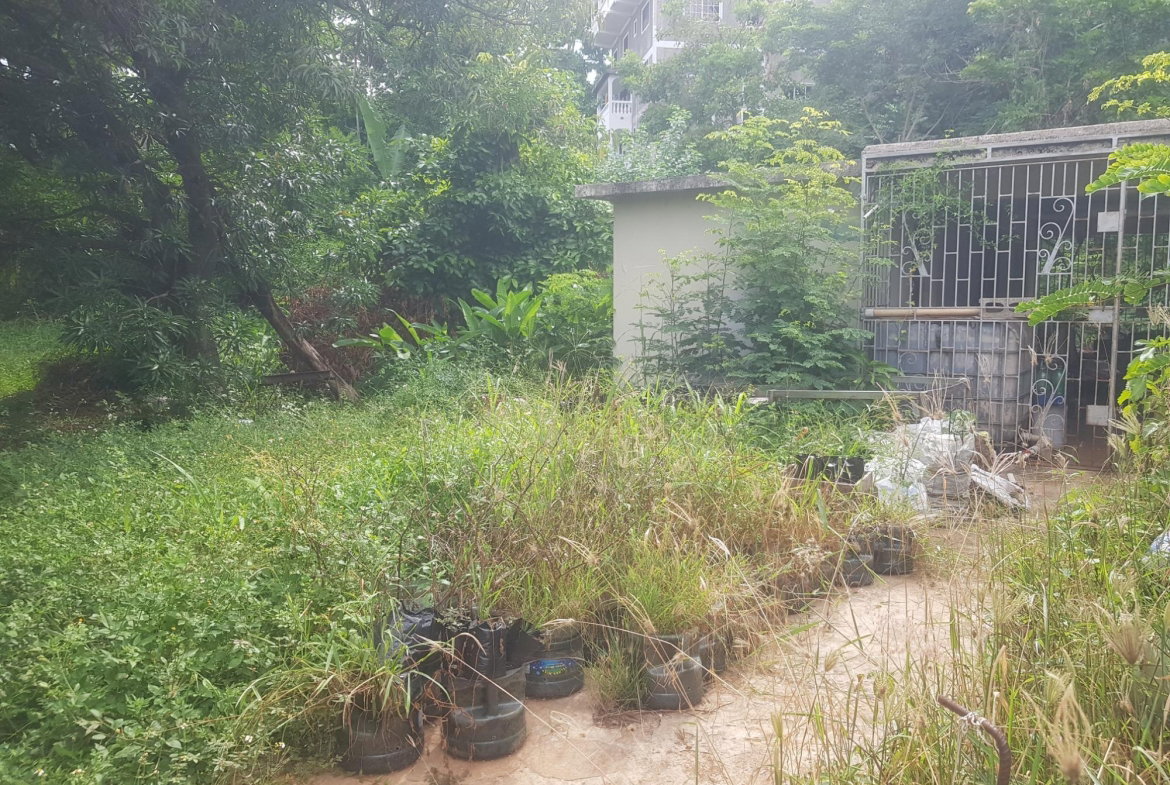 Second image of Leas Flat, Kingston 19 in Kingston 19, St. Andrew, Jamaica - property is For Sale