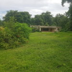 First image of Leas Flat, Kingston 19 in Kingston 19, St. Andrew, Jamaica - property is For Sale