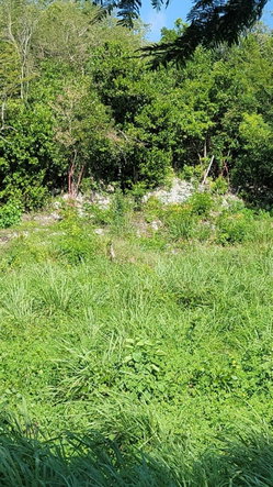 Second image of 82 Mount View, St. Catherine in Keystone, St. Catherine, Jamaica - property is For Sale