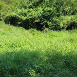 First image of 82 Mount View, St. Catherine in Keystone, St. Catherine, Jamaica - property is For Sale