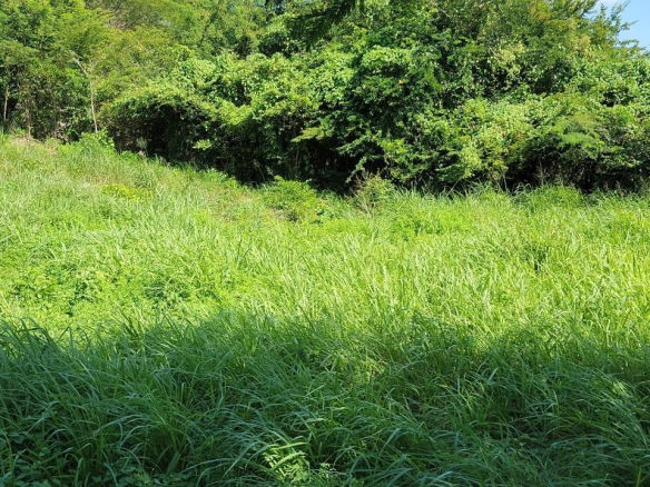 First image of 82 Mount View, St. Catherine in Keystone, St. Catherine, Jamaica - property is For Sale