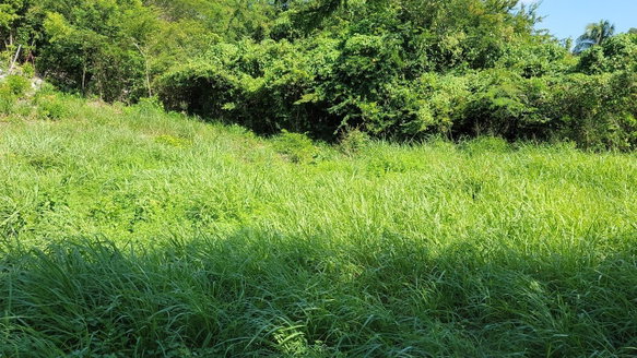 First image of 82 Mount View, St. Catherine in Keystone, St. Catherine, Jamaica - property is For Sale