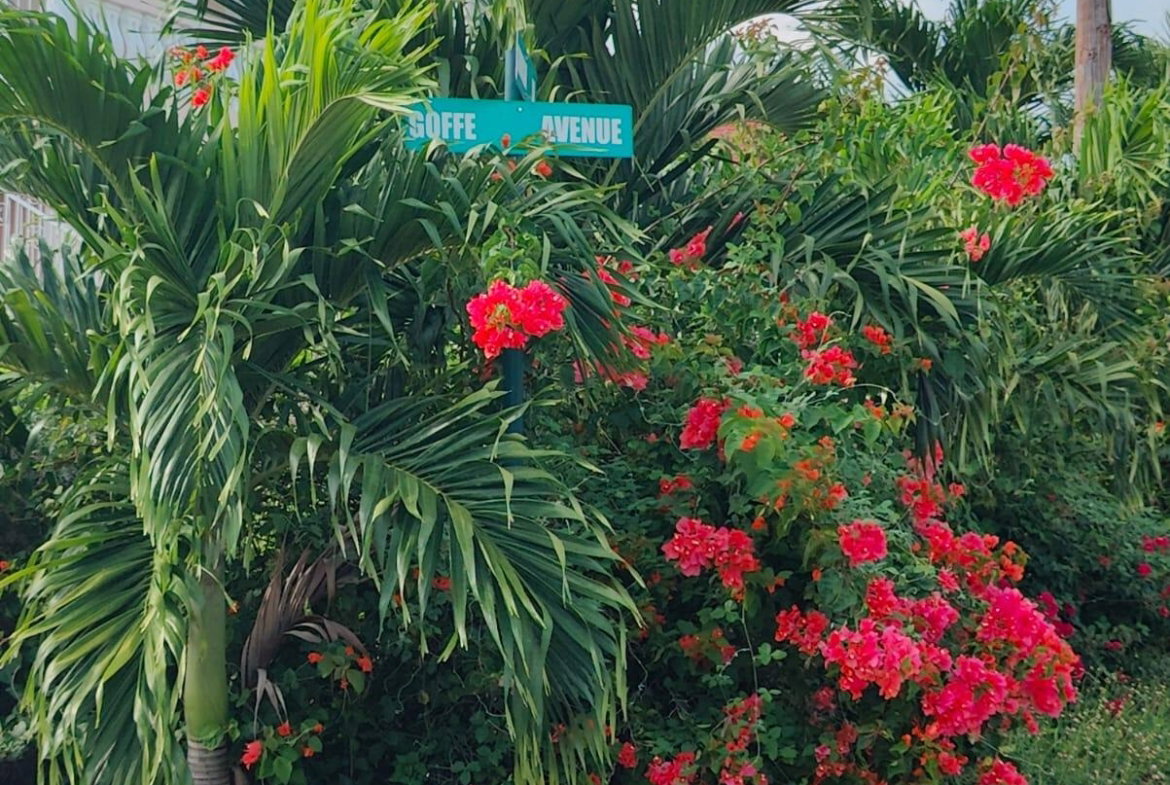 Second image of Lot 25 Goffe Avenue in Spanish Town, St. Catherine, Jamaica - property is For Sale
