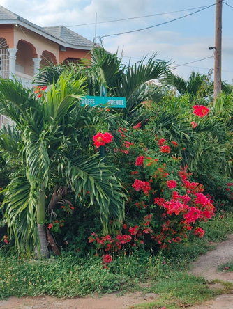 Second image of Lot 25 Goffe Avenue in Spanish Town, St. Catherine, Jamaica - property is For Sale