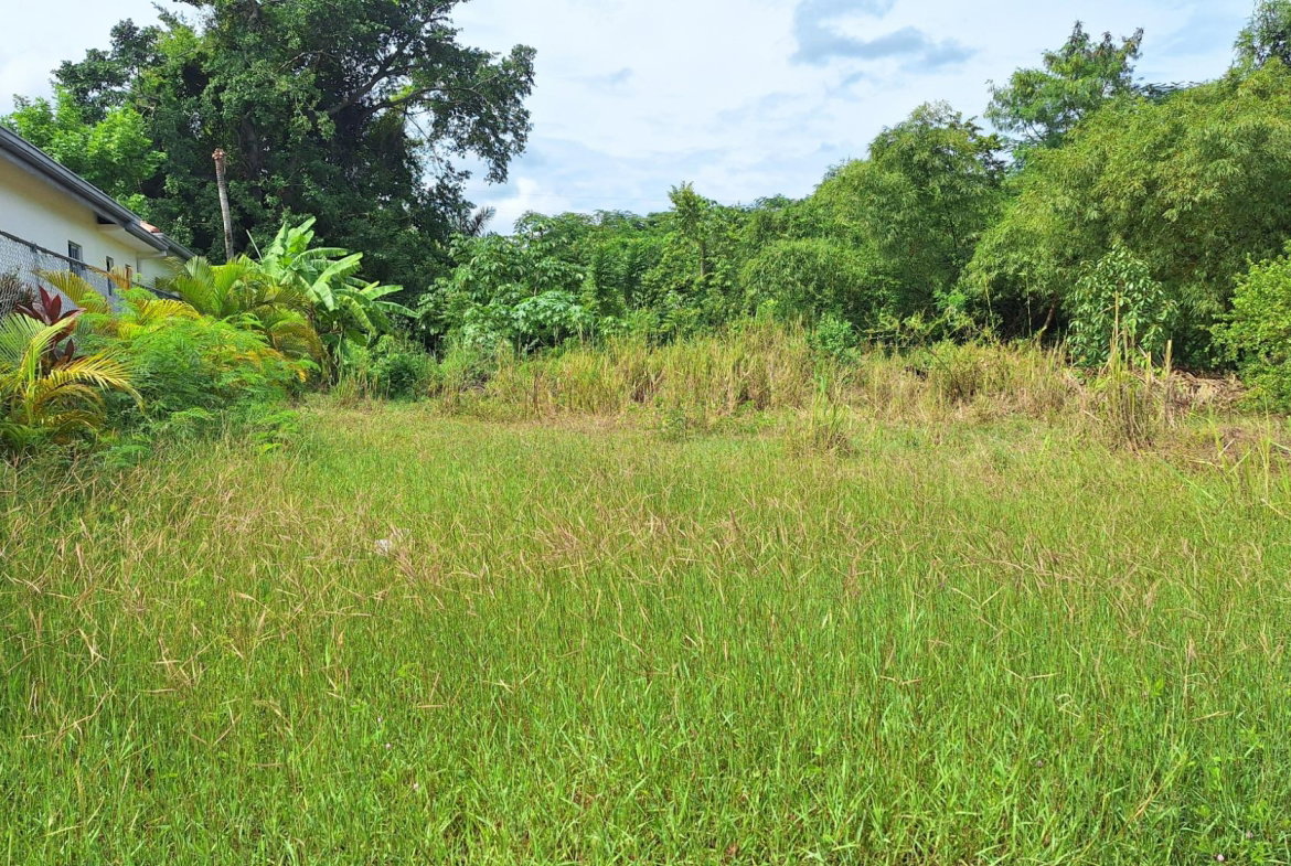 Fourth image of 12 Rova Avenue,vista Del Mar in Mammee Bay, St. Ann, Jamaica - property is For Sale