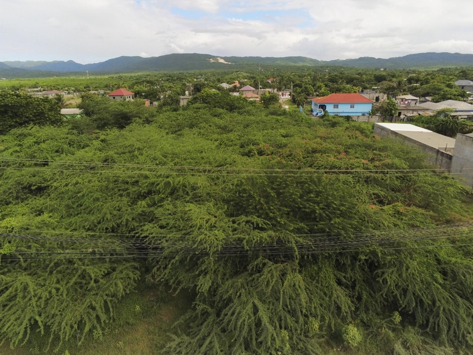 Eleventh image of 26 & 27 Muirhead Road in May Pen, Clarendon, Jamaica - property is For Sale