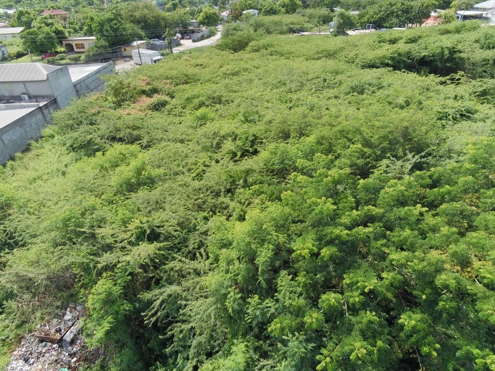 Third image of 26 & 27 Muirhead Road in May Pen, Clarendon, Jamaica - property is For Sale
