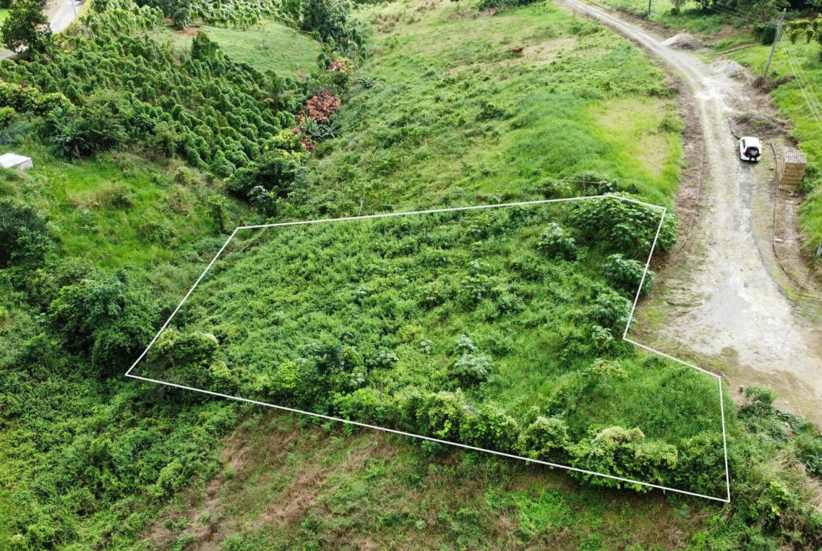 First image of 63- The Thicketts, Hermitage in Hermitage, St. Ann, Jamaica - property is For Sale