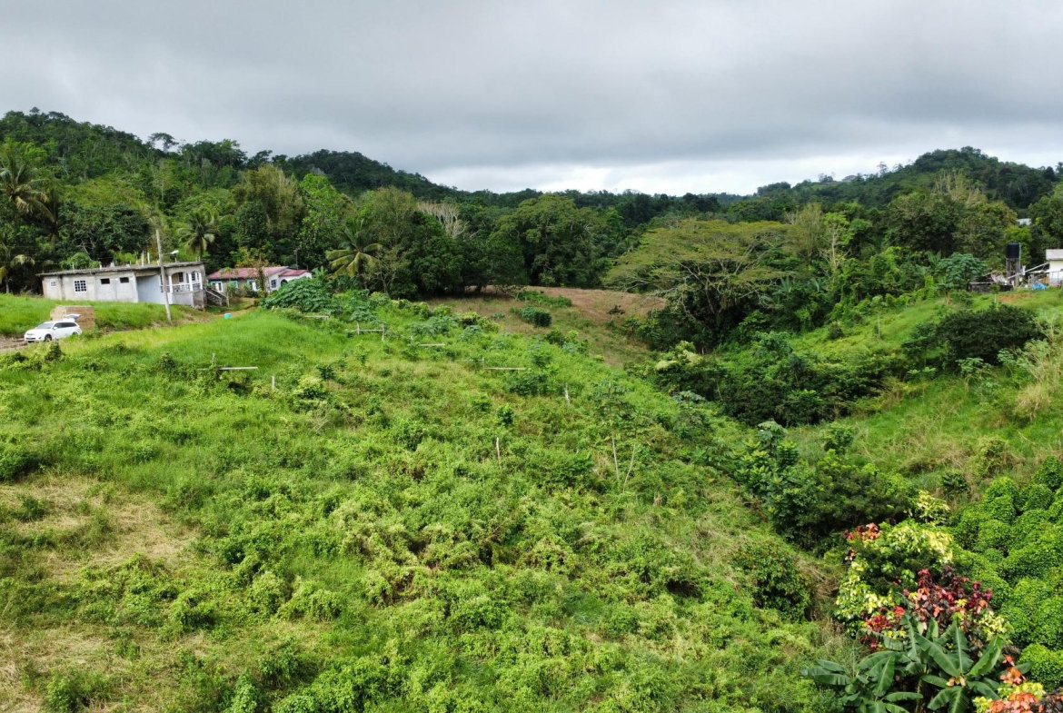 Fifteenth image of 63- The Thicketts, Hermitage in Hermitage, St. Ann, Jamaica - property is For Sale