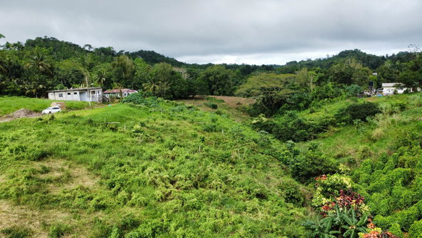 Fifteenth image of 63- The Thicketts, Hermitage in Hermitage, St. Ann, Jamaica - property is For Sale