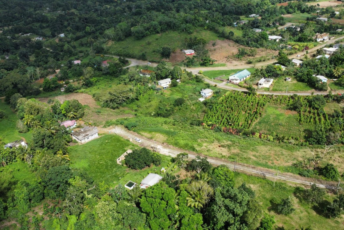 Sixteenth image of 63- The Thicketts, Hermitage in Hermitage, St. Ann, Jamaica - property is For Sale