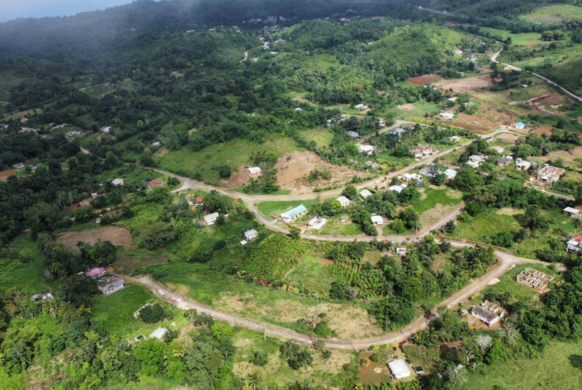 Eighteenth image of 63- The Thicketts, Hermitage in Hermitage, St. Ann, Jamaica - property is For Sale