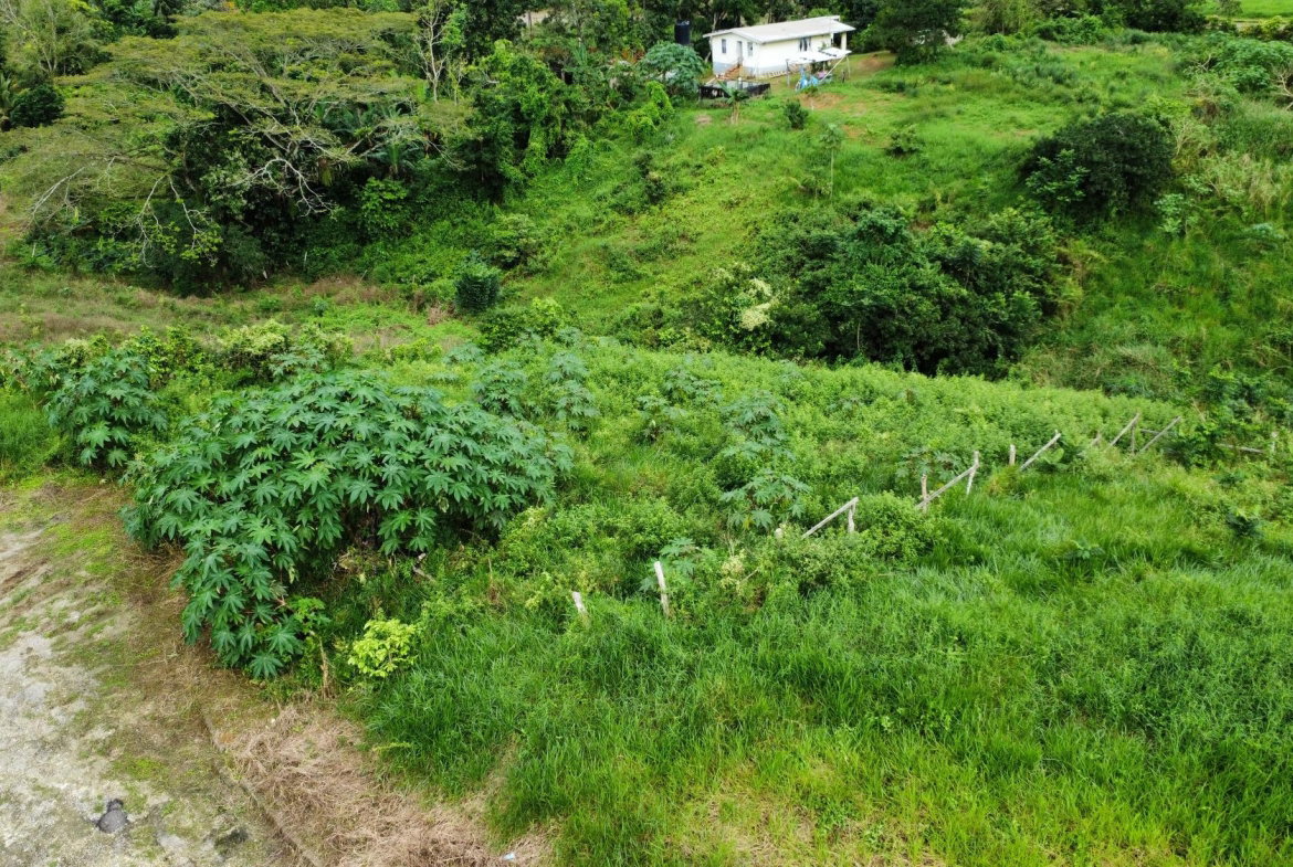 Third image of 63- The Thicketts, Hermitage in Hermitage, St. Ann, Jamaica - property is For Sale