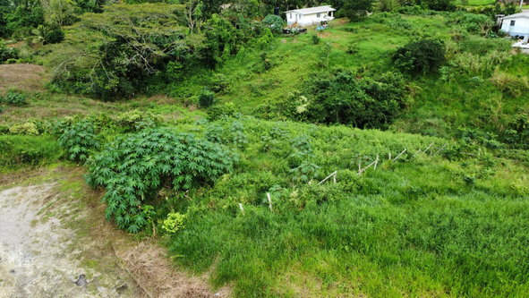 Third image of 63- The Thicketts, Hermitage in Hermitage, St. Ann, Jamaica - property is For Sale