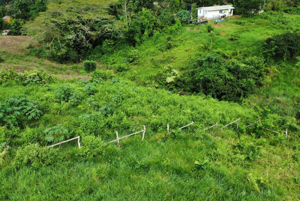 Fourth image of 63- The Thicketts, Hermitage in Hermitage, St. Ann, Jamaica - property is For Sale