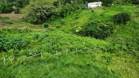 Fourth image of 63- The Thicketts, Hermitage in Hermitage, St. Ann, Jamaica - property is For Sale